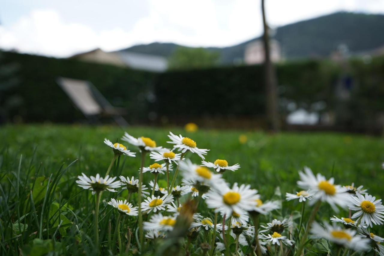Apartamento Con Jardin En La Cerdanya Err Eksteriør bilde